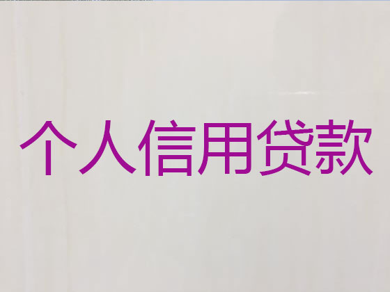湖州抵押贷款公司-信用贷款